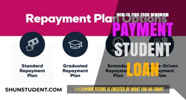 Navigating Student Loan Repayment: Discovering Your Minimum Payment Options