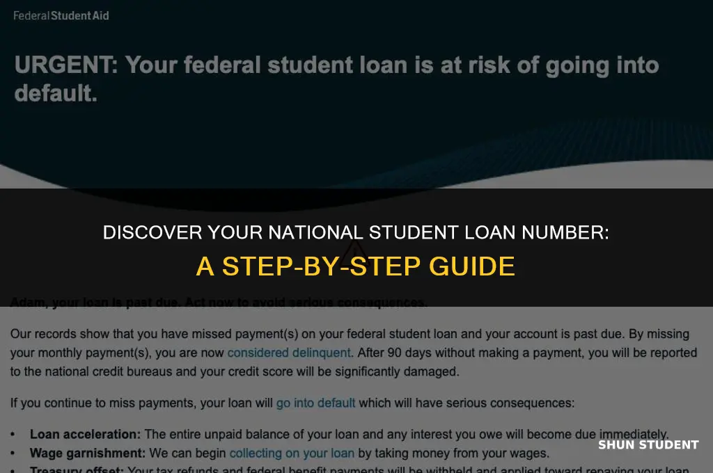 how to find your national student loan number