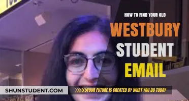 Reconnecting with Your Roots: Locating Your Old Westbury Student Email