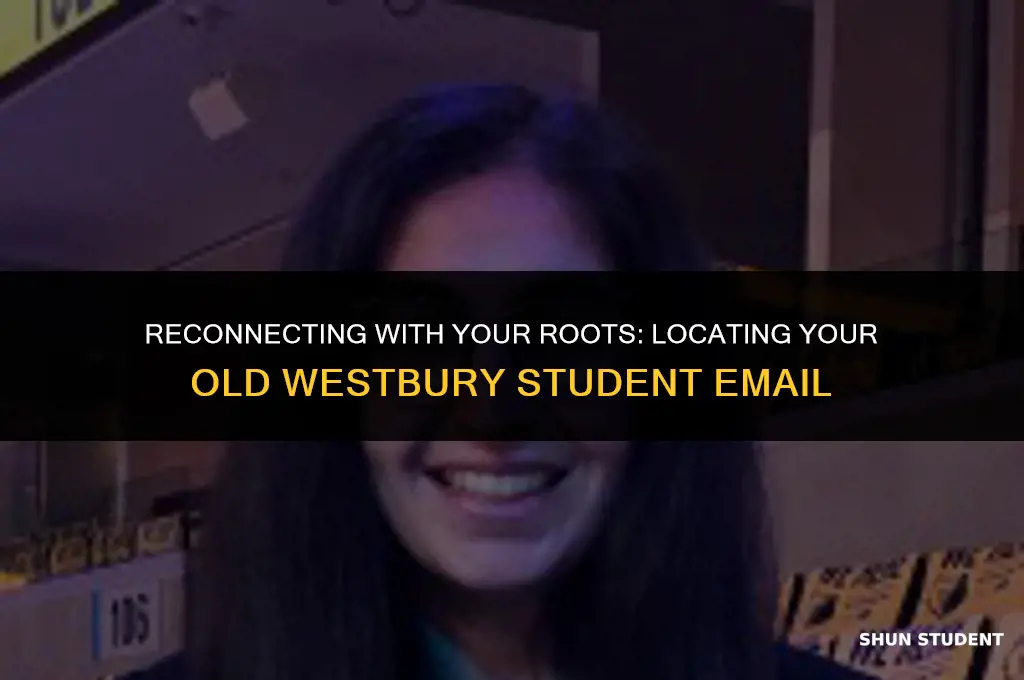 how to find your old westbury student email