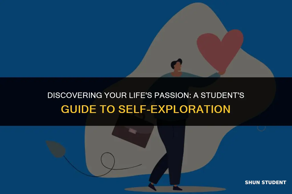 how to find your passion in life student