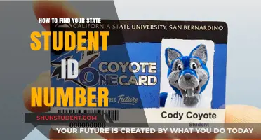 Discover Your State Student ID: A Step-by-Step Guide