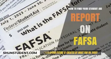 Unlocking Your Financial Aid: A Step-by-Step Guide to Accessing Your FAFSA Report