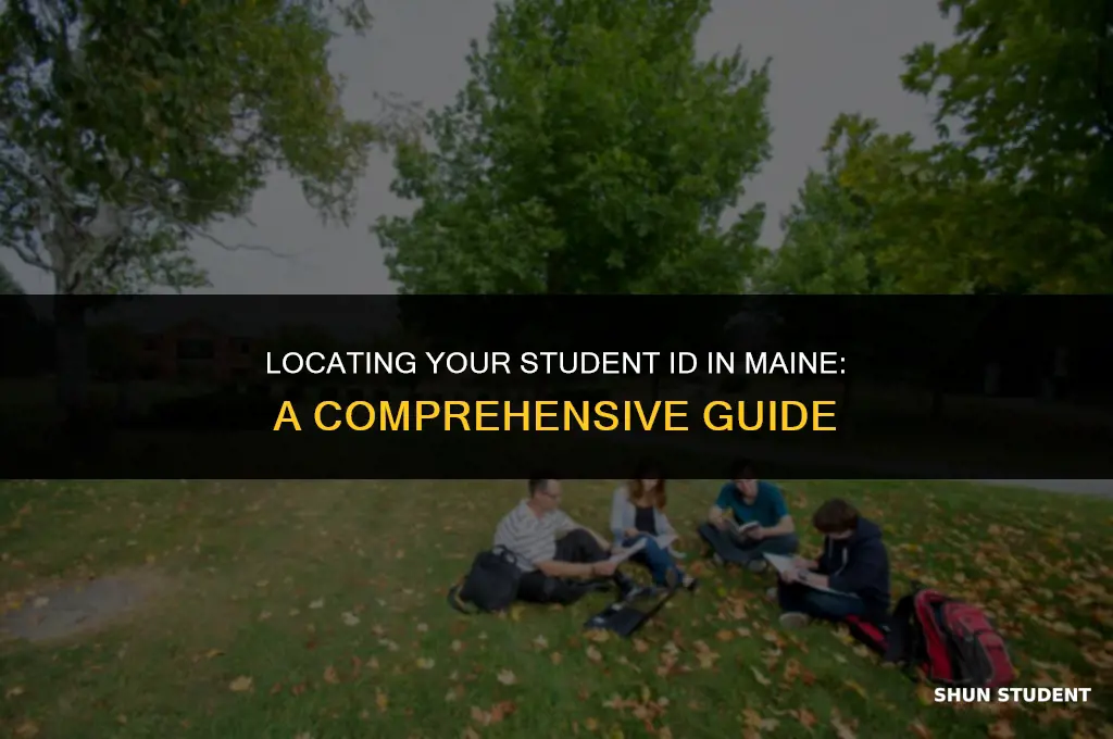how to find your student id maine