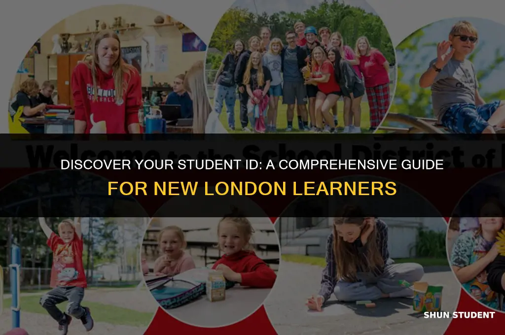 how to find your student id new london