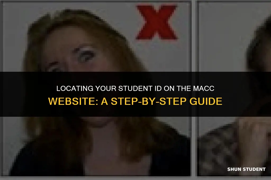 how to find your student id on macc website