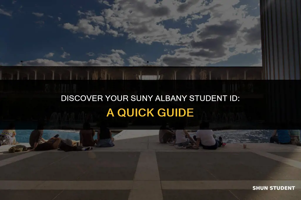 how to find your student id suny albany