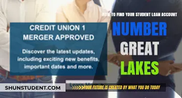Locate Your Great Lakes Student Loan Account Number: A Simple Guide