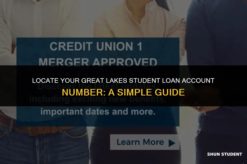 how to find your student loan account number great lakes