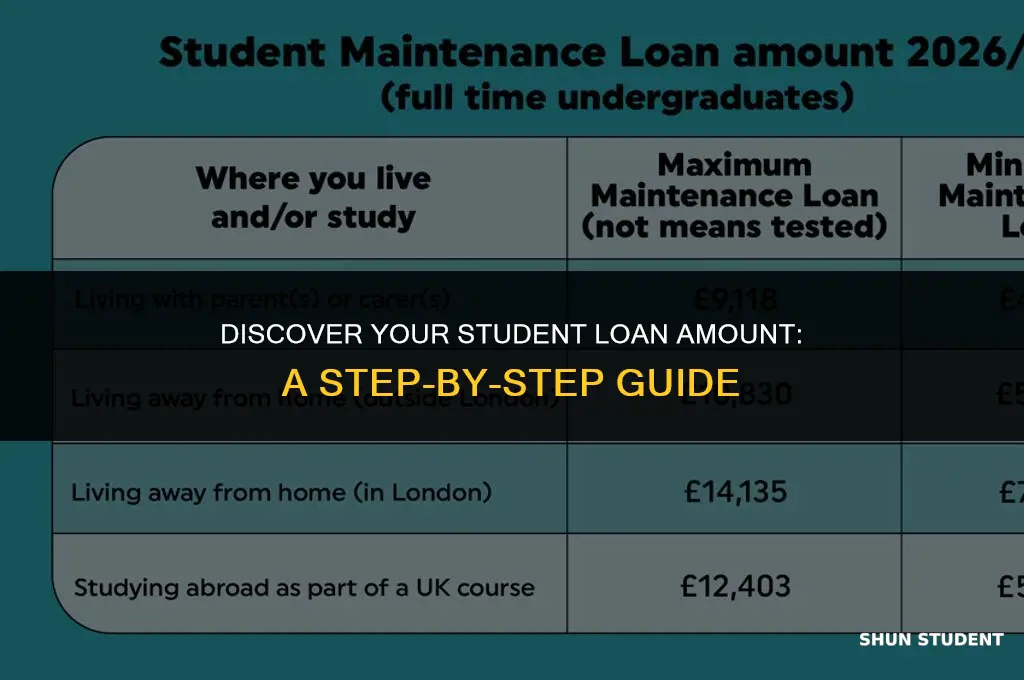 how to find your student loan amount