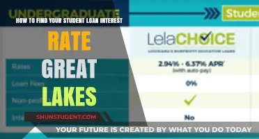 Discover Your Student Loan Interest Rate with Great Lakes: A Simple Guide