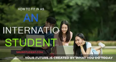 Navigating a New Culture: Tips for International Students