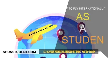 Student Guide to International Flights: What You Need to Know