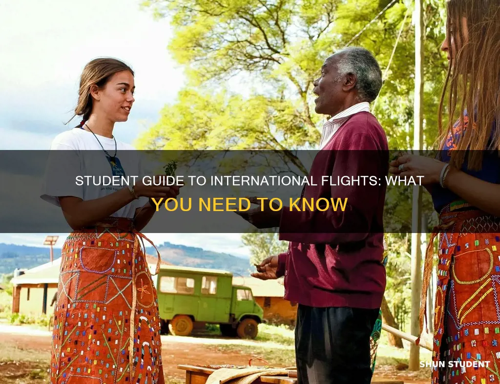 how to fly internationally as a student