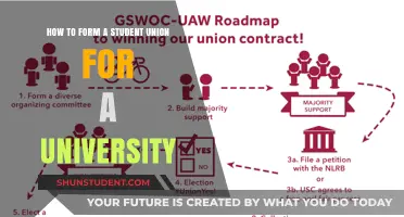Creating a Student Union: A Guide for University Students