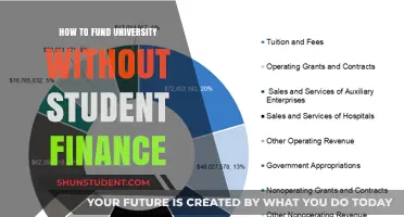 Exploring Alternative Ways to Fund Your University Education