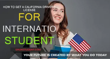 International Students: Getting a California Driver's License