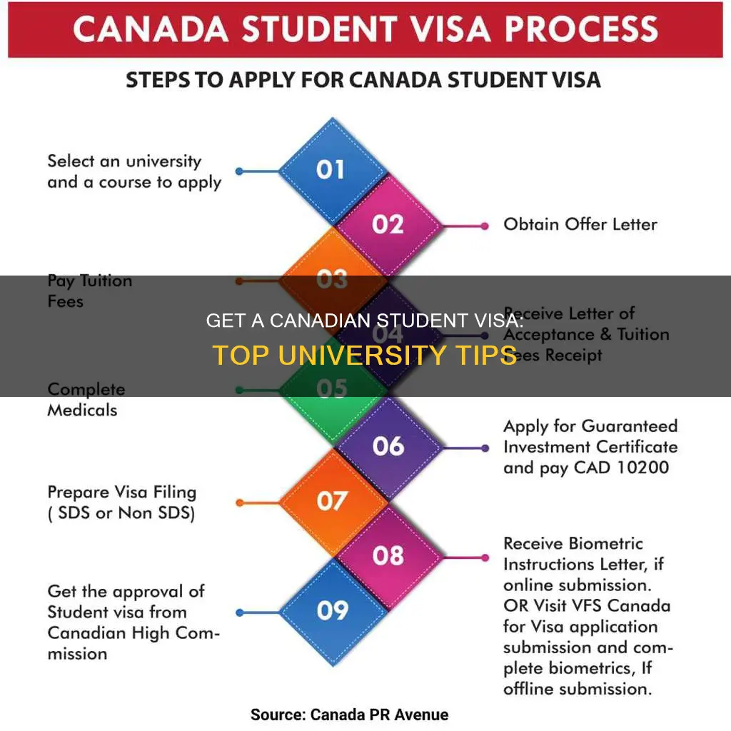 how to get a canadian student visa top universitiestop universities