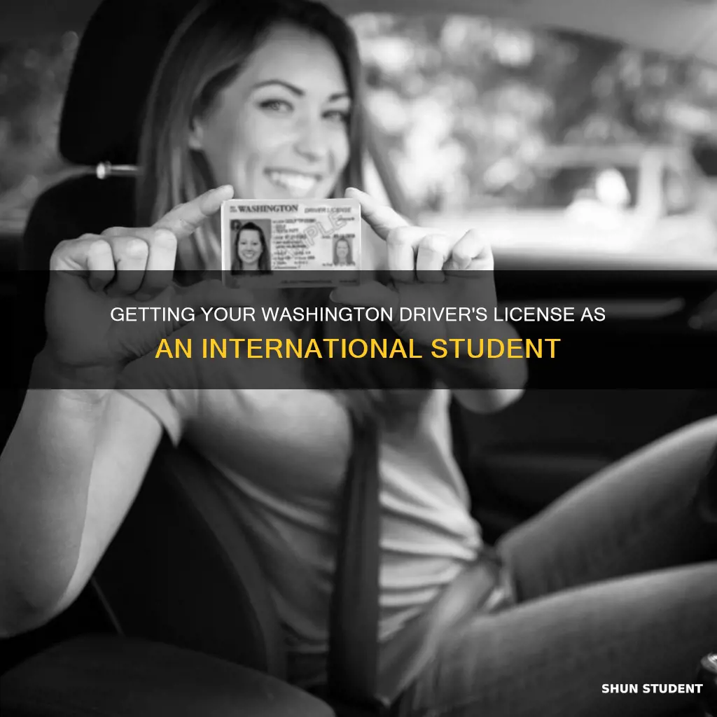 how to get a drivers license in washington international student