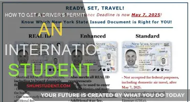 International Students: Get Your Driver's Permit Easily