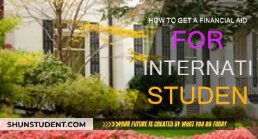 International Students: Financial Aid Options and How to Apply