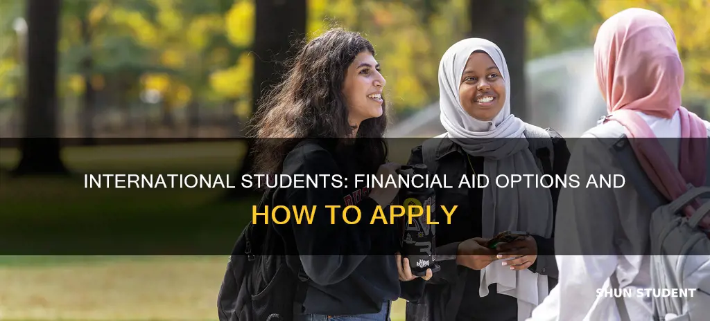 how to get a financial aid for international students
