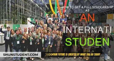 Full Scholarships for International Students: Strategies for Success