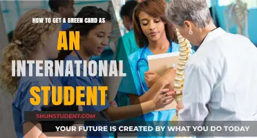 International Students: A Guide to Getting Green Cards