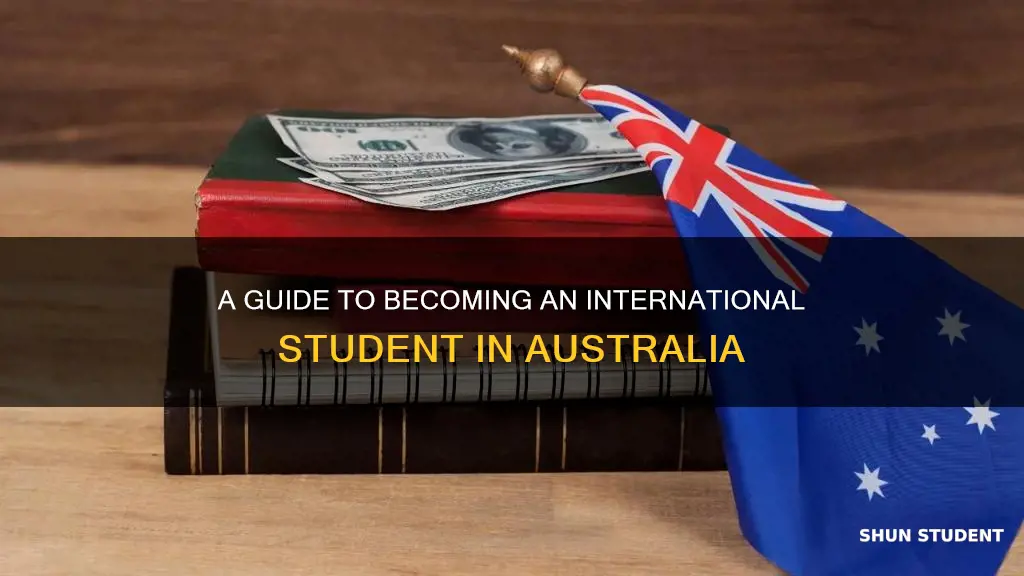 how to get a international student in australia