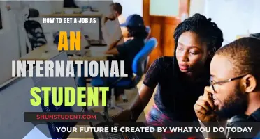 International Students: Strategies for Job Hunting Success