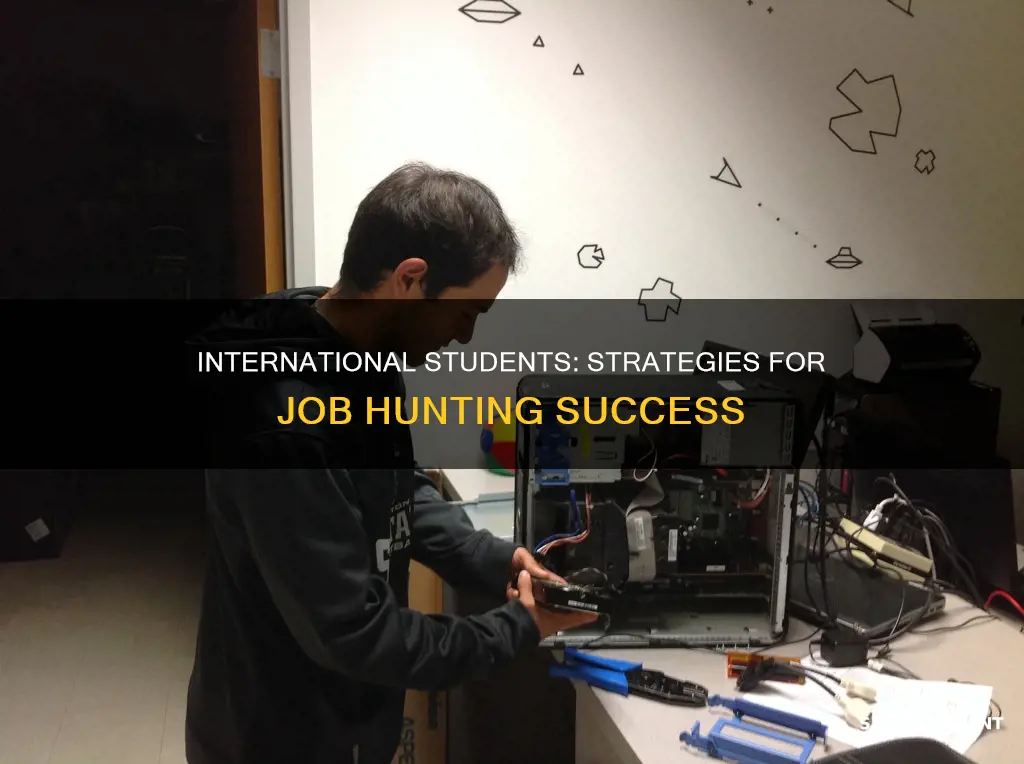 how to get a job as an international student