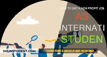 Finding Non-Profit Work as an International Student