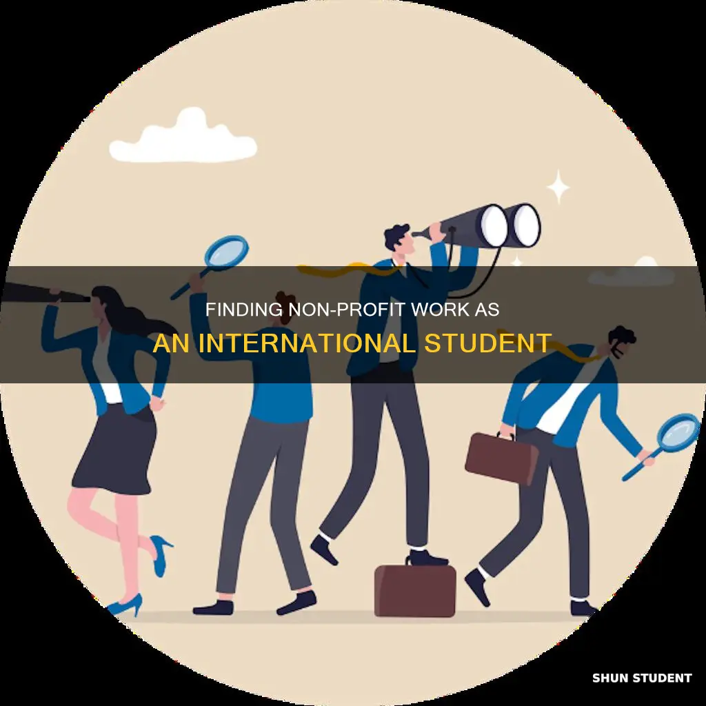 how to get a non profit job as international student