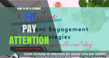 Strategies to Help Students Focus and Engage