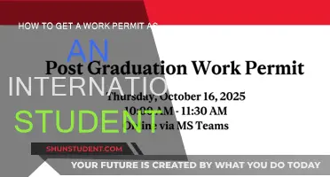 Navigating Work Permits: A Guide for International Students