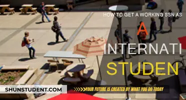Secure a Social Security Number as an International Student