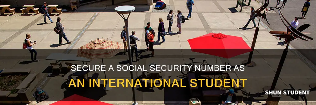 how to get a working ssn as a international student