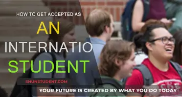 Strategies for International Students to Get Accepted at University