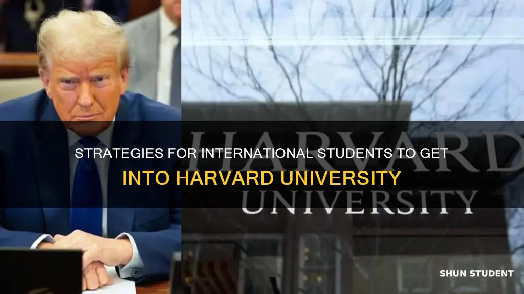 how to get admission in harvard university for international students