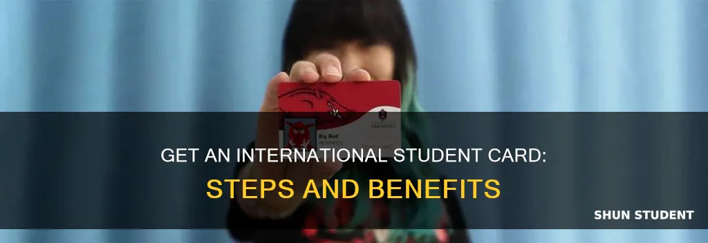 how to get an international student card