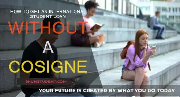 International Student Loans: No Cosigner Required