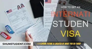 Navigating the Student Visa Process for International Study