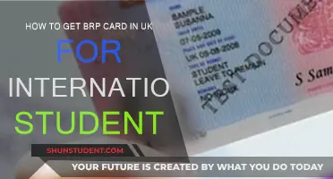 A Guide for International Students to Get UK BRP Cards