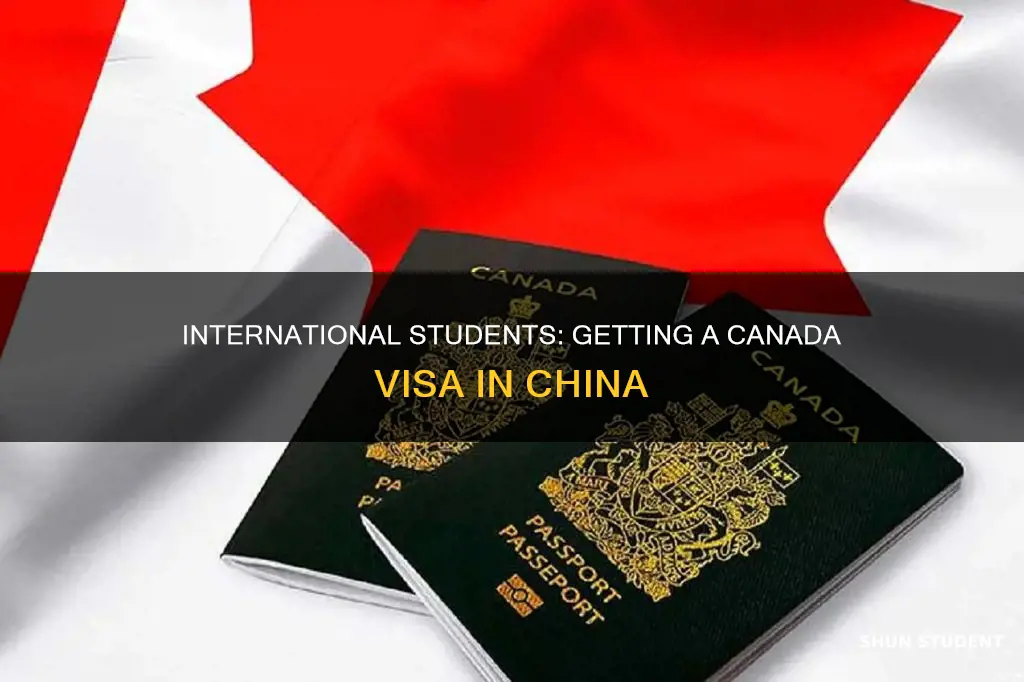 how to get canada visa in china for international students
