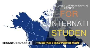 International Students: Get Your Canadian Driving License