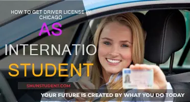 Get Your Chicago Driver's License as an International Student