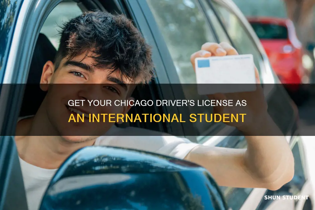 how to get driver license in chicago as international student