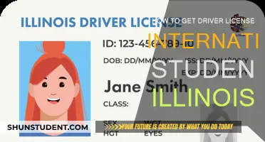 International Students: Getting an Illinois Driver's License