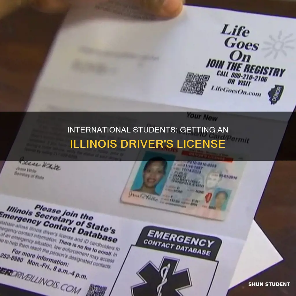 how to get driver license international student illinois
