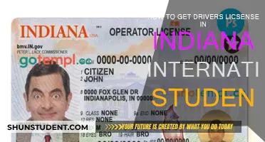 Get Your Indiana Driver's License: A Guide for International Students